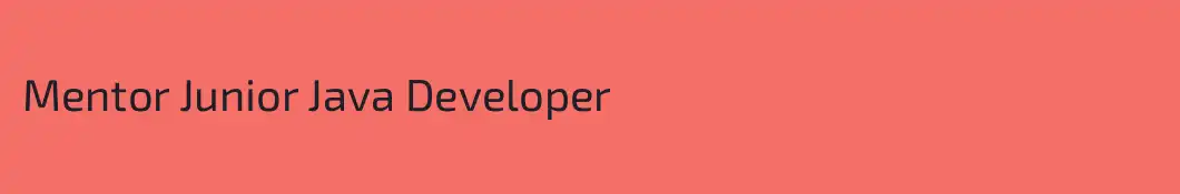 Mentor Junior Java Developer
